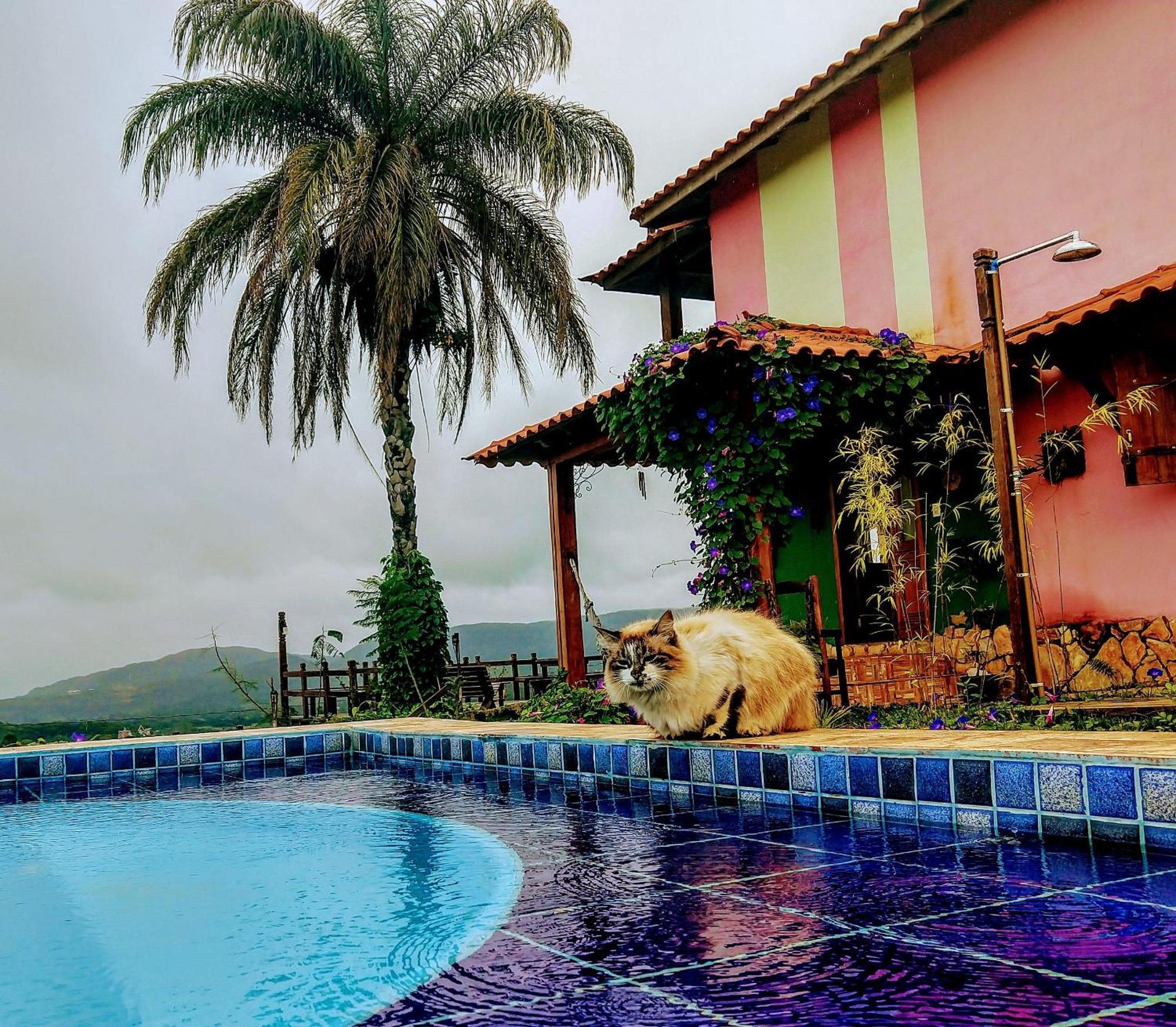 Pousada Residencia Balestra ทีราเดนเจส ภายนอก รูปภาพ