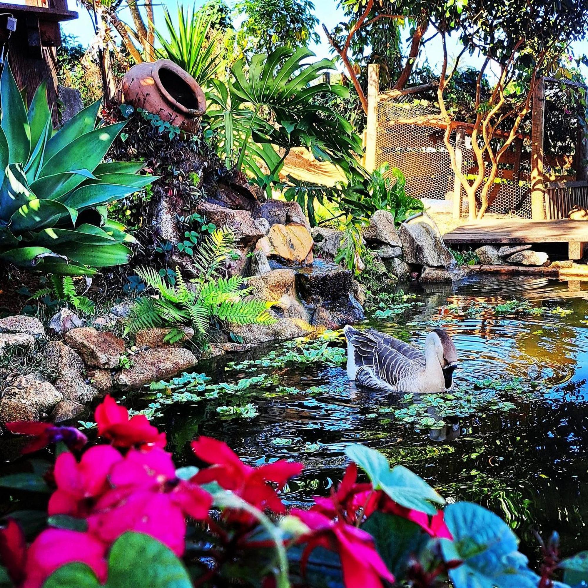 Pousada Residencia Balestra ทีราเดนเจส ภายนอก รูปภาพ