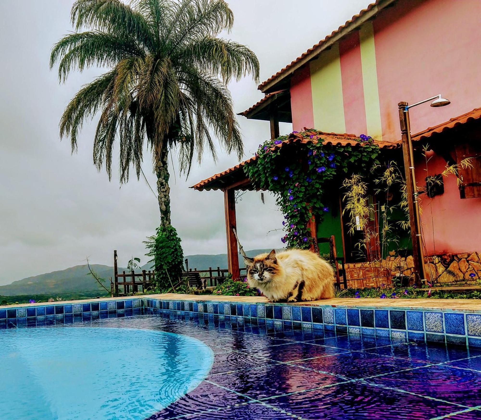 Pousada Residencia Balestra ทีราเดนเจส ภายนอก รูปภาพ